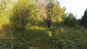 Ловля щуки и окуня на спиннинг. Ультралайт на малой реке. Микроджиг. Август 2017.