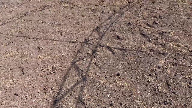 Органическое земледелие. Обработка земли КУБом. Одесса. 04.2022г. смотреть онлайн