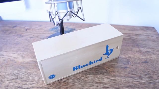 Blue BlueBird Microphone Review смотреть онлайн
