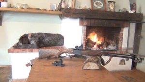 Обзор коллиматорного прицела Пилад P1х42