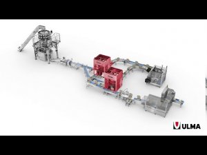 Автоматизированная укладка в короба конфет и кондитерских изделий