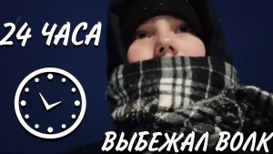 БЕГАЮ ОТ ВОЛКА! НОЧЬ В ЗАКРЫТОМ ЗООПАРКЕ! 24 ЧАСА ЧЕЛЛЕНДЖ!