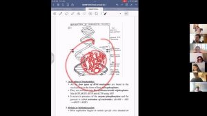 DNA REPLICATION