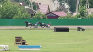 8.06.2024г.Абаканский Ипподром Квалификационный заезд лошади 2-х лет рысистых пород 1600