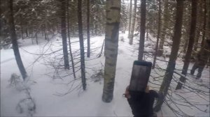 Охота с русскими гончими, Лютый и Радость вл. Виктор Маков .