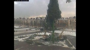 Процесс установки главной новогодней ёлки города