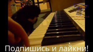 Животные музыканты Приколы 2016