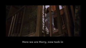 Learn/Practice English with MOVIES (Lesson #21) Title: Harry Potter and the Chamber of Secrets