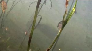 Красноярское море.avi