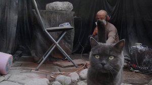 Раковина из  камня. Гранит.