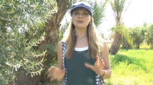 "О Марокко детям" - просто и доступно рассказываю о стране Марокко детям