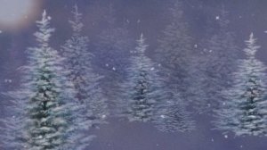 футаж Зимний лес