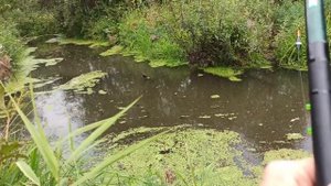 Река Сепыч. Рыбалка на микро-речке .