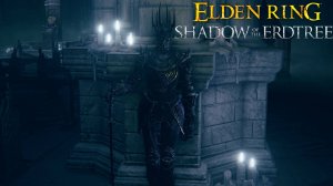 Квест Йоланы на меч ночи NG+ x6 Elden Ring Shadow of the Erdtree