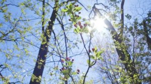 Рассказы на татарском языке | Ерактагы якын эбилэр | #5