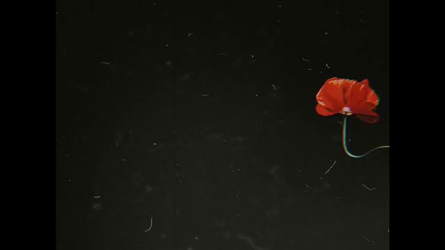 MATRANG - Со мной(NEW!!!) смотреть онлайн