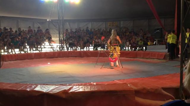 Цирк в Бугульме смотреть онлайн