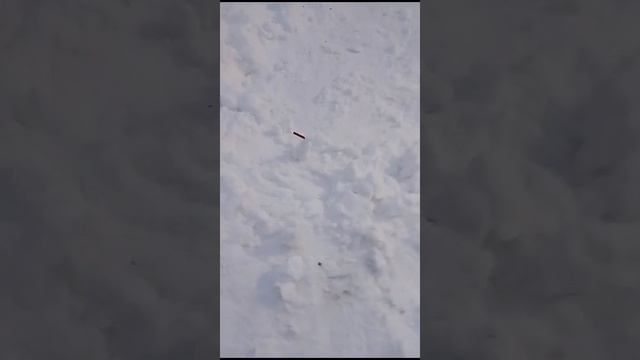 Куренье запрещено не в коем случае не курите а то вам будет полная хана❌