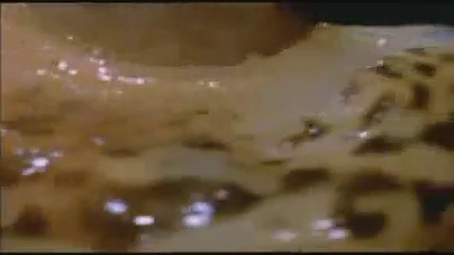 Размножение слизней смотреть онлайн