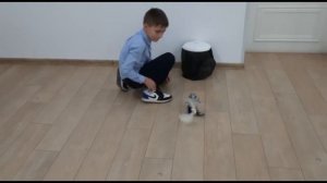 День детских изобретений или День детей-изобретателей