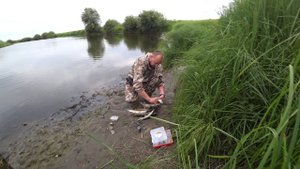 Щука в озёрах Волго Ахтубинской поймы