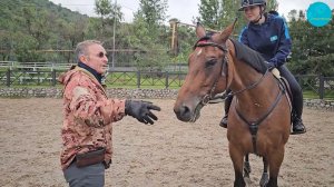 Управление лошадью за счет баланса и корпуса в полевой посадке. Olivier Billaud, Алматы, 26-05-24