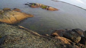 2016 Карелия заподный берег Белого моря 2