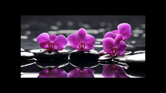 Roberta - Peppino Di Capri(com legenda) смотреть онлайн