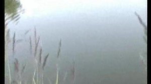 Диалоги о рыбалке