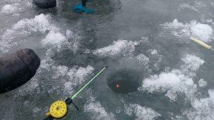 Поиск и ловля карпа зимой! Карп щекочет нервы! Итог......