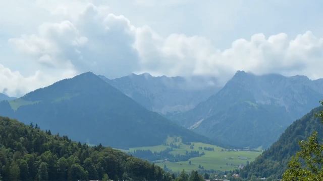 Лев в год Свиньи - характер смотреть онлайн