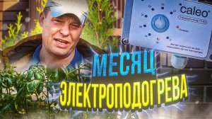 месяц электрообогрева 10 метровой теплицы обошелся мне в кругленькую сумму