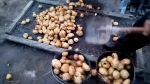 Кормозапарник и его недостатки