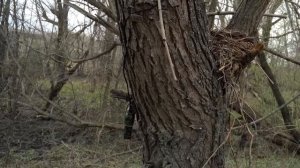 GoPro и другие экшн-камеры: подсветка, внешнее питание, карты памяти