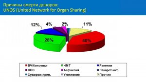 Смерть мозга