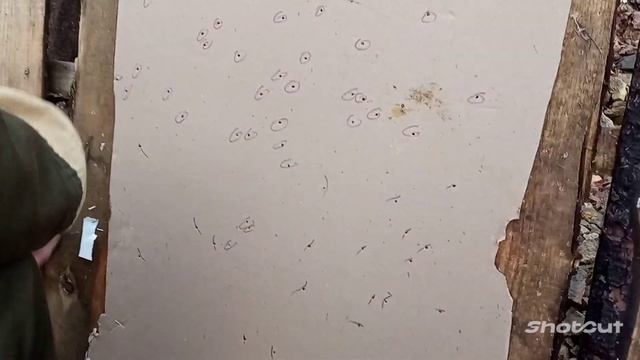 отстрел дроб 1 разрезаный пыж феттер н17 между обтюратором и конт пыж диана 32 гр др с крахмалом смотреть онлайн