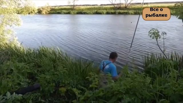 Ловля рыбы на болонскую снасть