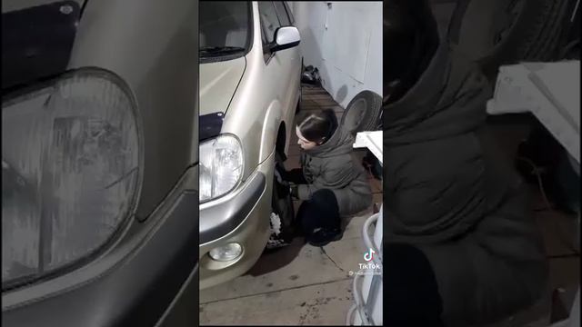 ОбуЧАем ХХроМОСому...