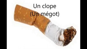 Учим разговорный французский. 20 mots en français familier. С иллюстрациями. Просто и доступно.