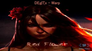 DEgITx - Warp