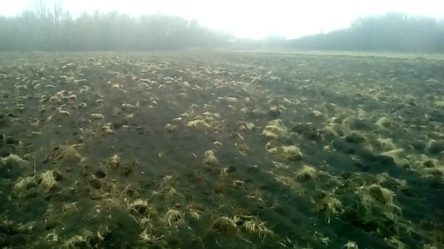 Распахал новь.часть 1 смотреть онлайн