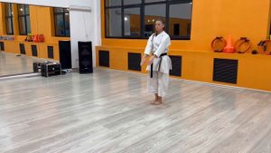 Ката Теки-шодан (ката на аттестацию по Фудокан на 3 кю)