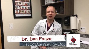 Meet Dr. Dan Fonza!