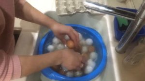 Бизнес на яйцах . Как подготовить