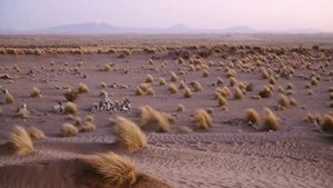 Badema - Urga (Mysterious faces of desert)