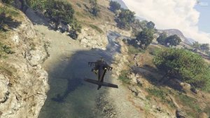 Лицензия USAF H+ ARMY