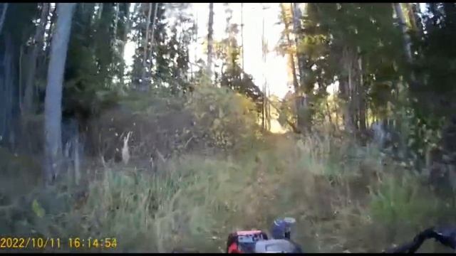 Перевозка земли и прокат по лесной дороге. Гусеницы Крутец смотреть онлайн