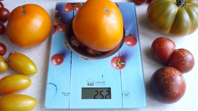 Томат Апельсин смотреть онлайн