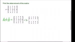 Determinant of a Matrix with two Identical rows