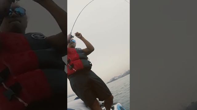 HOW TO FISH GROUPER #shorts #grouper #fish #fishing смотреть онлайн